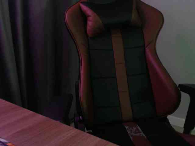 skyelle webcam