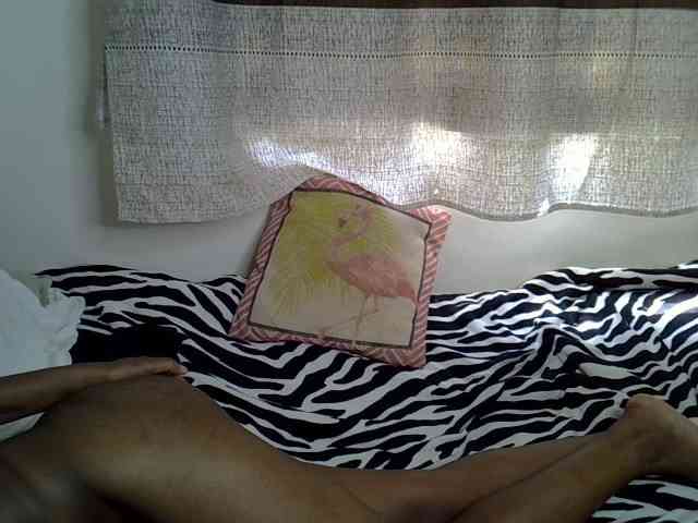 Onyxoxo2 webcam