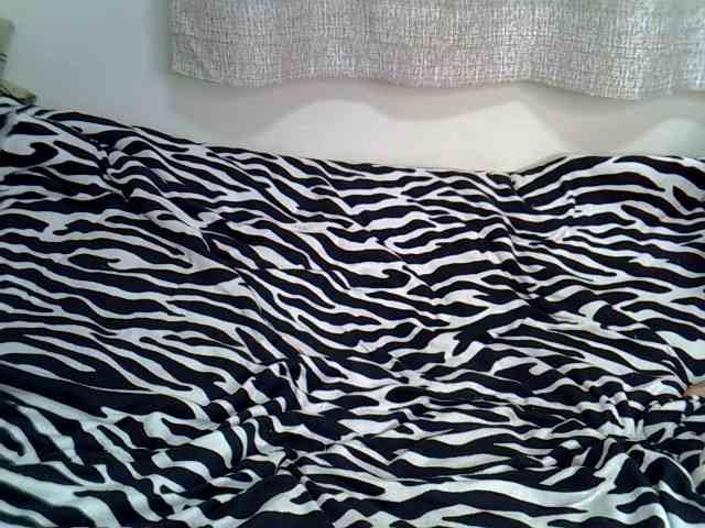 Onyxoxo2 webcam