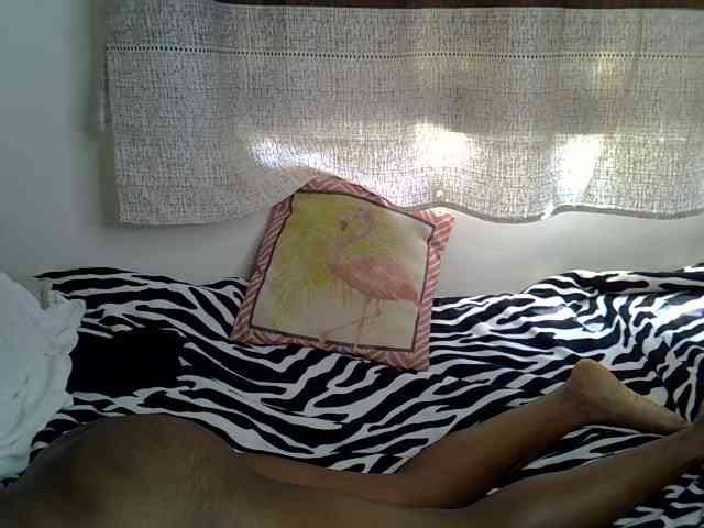 Onyxoxo2 webcam