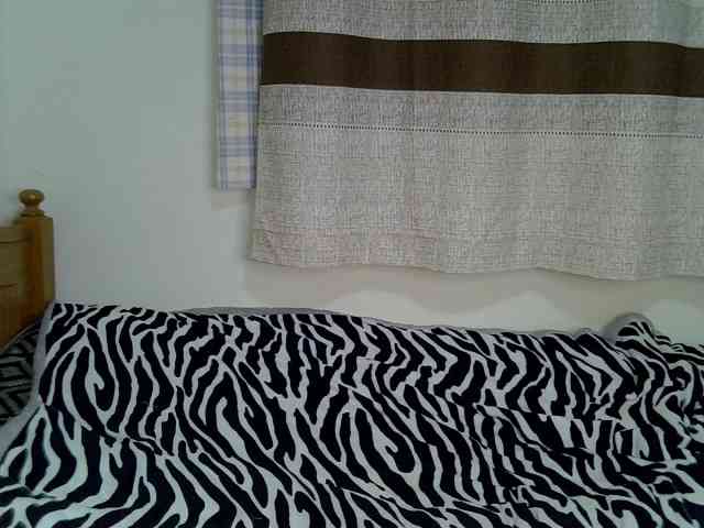 Onyxoxo2 webcam
