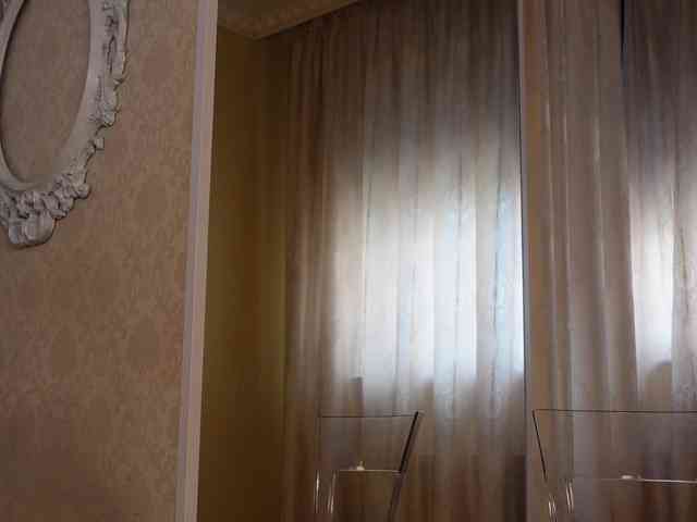 FoxyAmber webcam