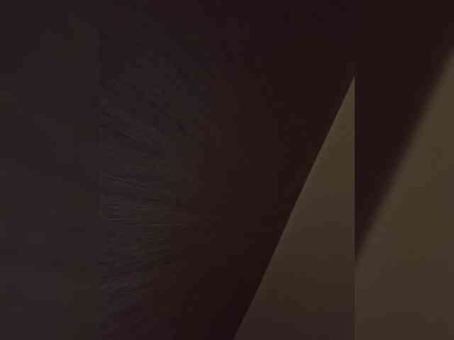 Sara3331 webcam