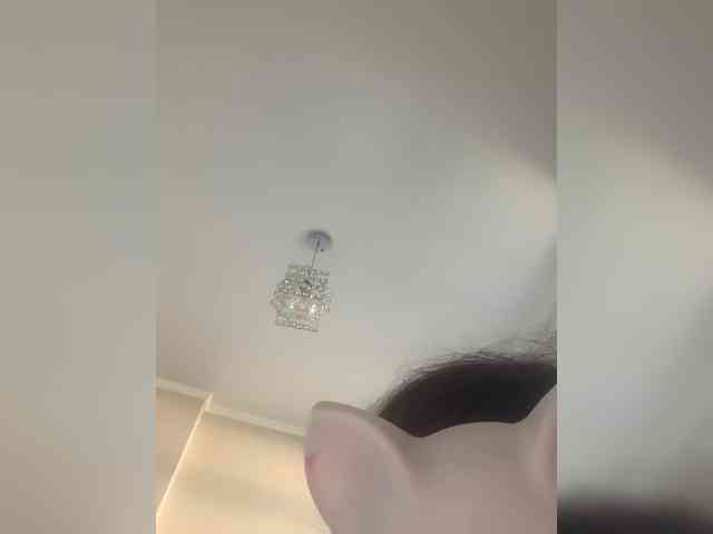 Sara3331 webcam