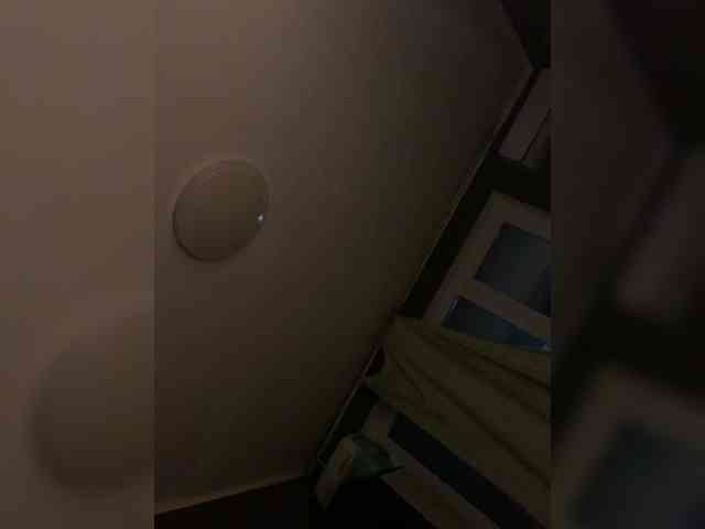 Sara3331 webcam
