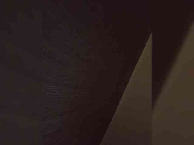 Sara3331 webcam