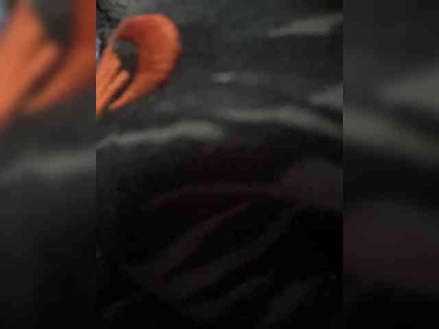 bostoj2713 bostoj2713