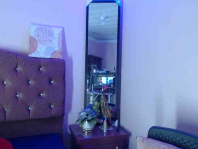 4wdacity webcam