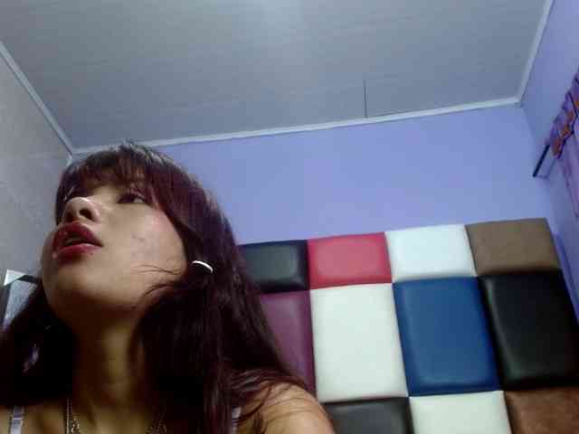 4wdacity webcam