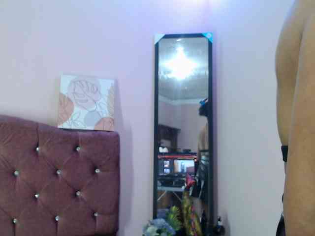 4wdacity webcam