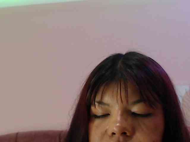 4wdacity webcam