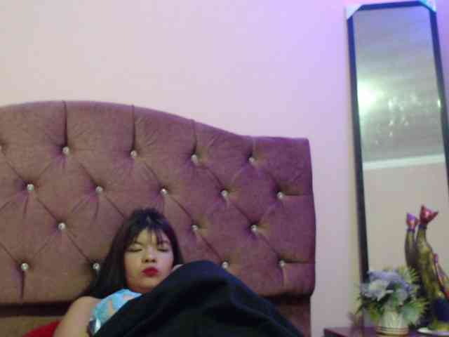 4wdacity webcam