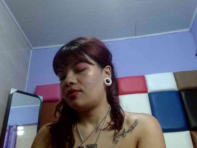 4wdacity webcam