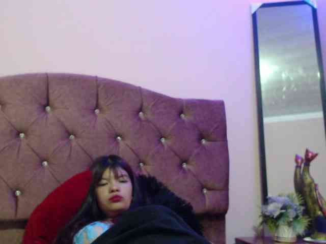 4wdacity webcam