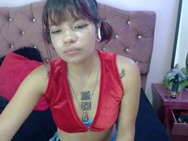 4wdacity webcam