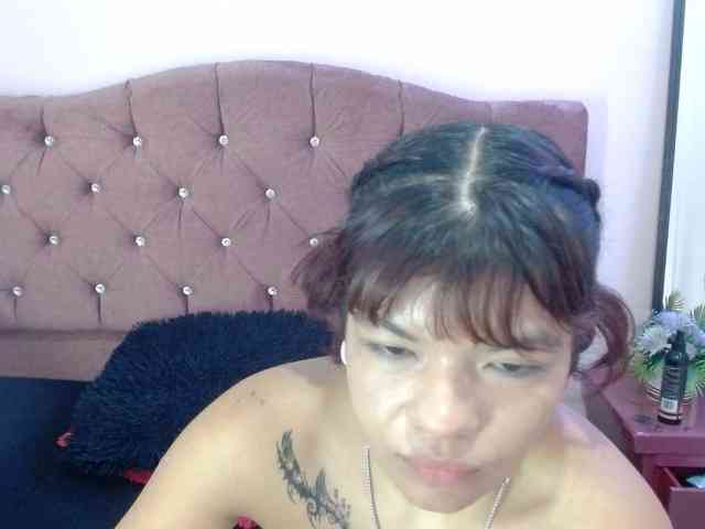 4wdacity webcam