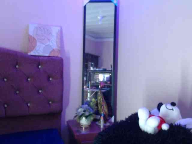 4wdacity webcam