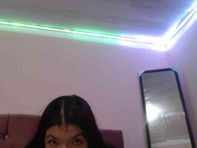 4wdacity webcam