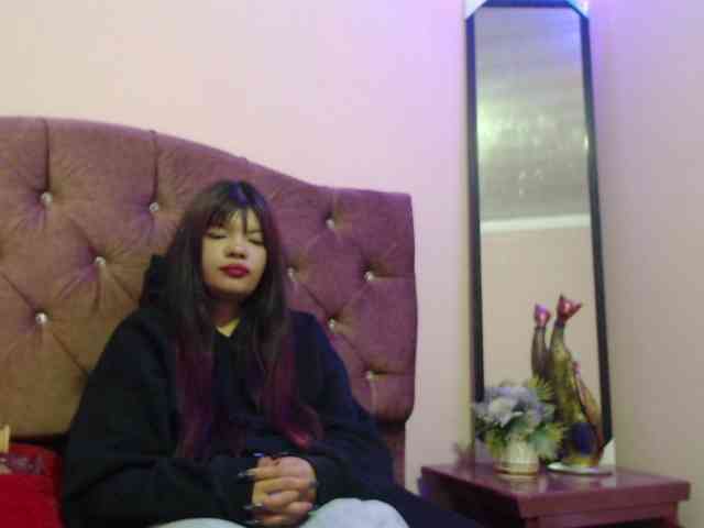 4wdacity webcam
