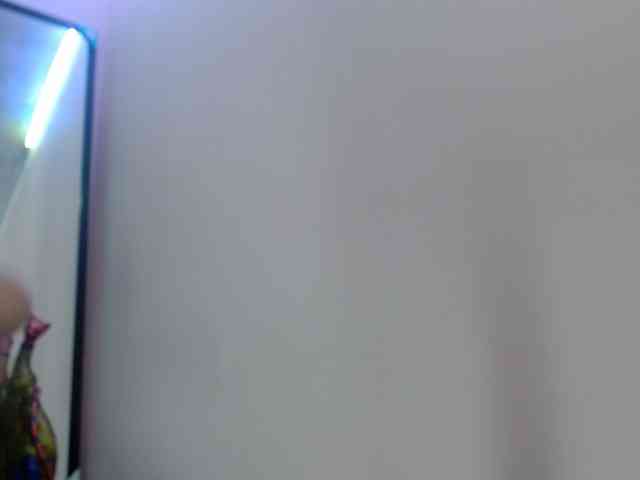 4wdacity webcam