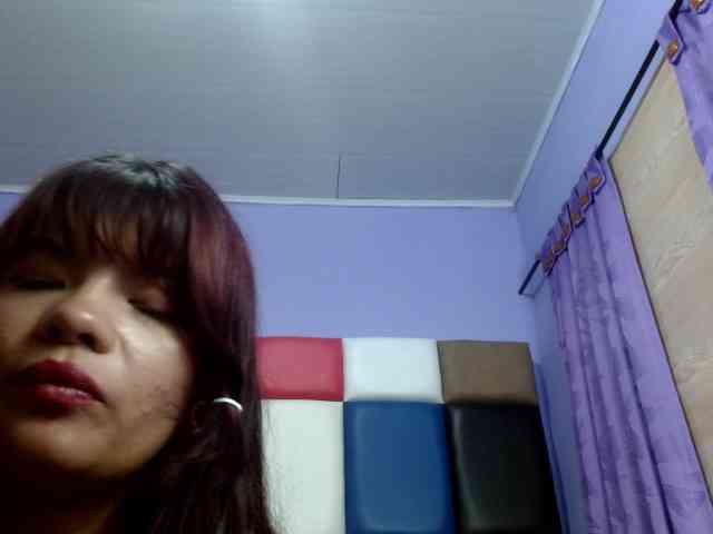 4wdacity webcam