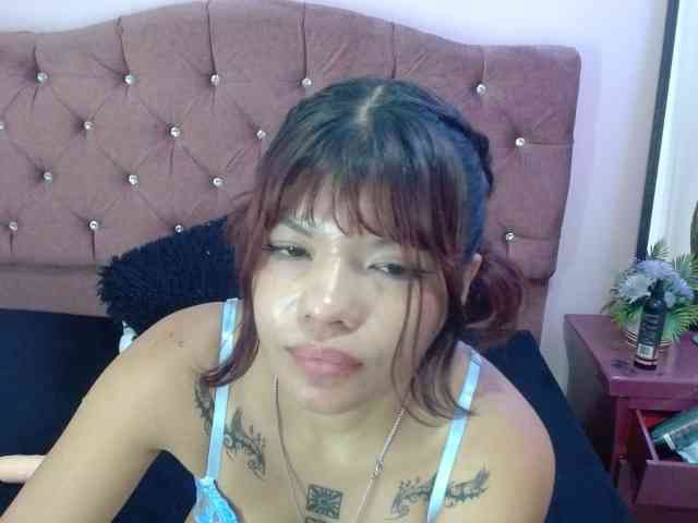 4wdacity webcam