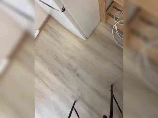 alicelaff webcam