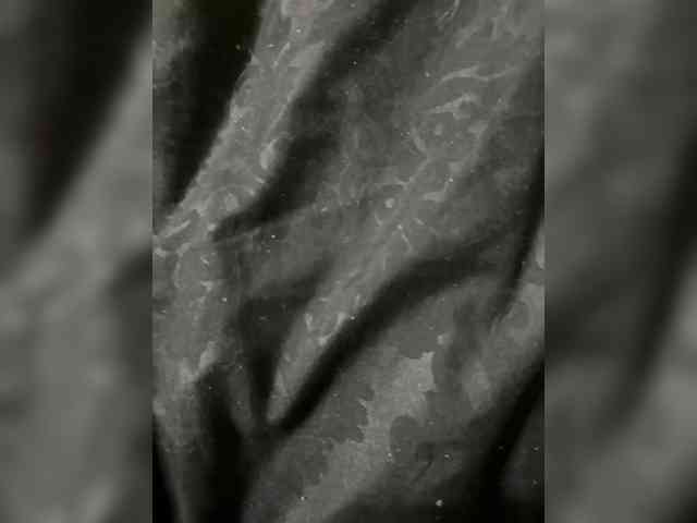 Модель: LolyMolyyy