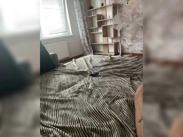 FoxBaby691