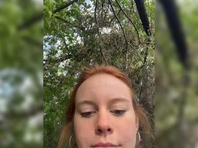 FoxBaby691