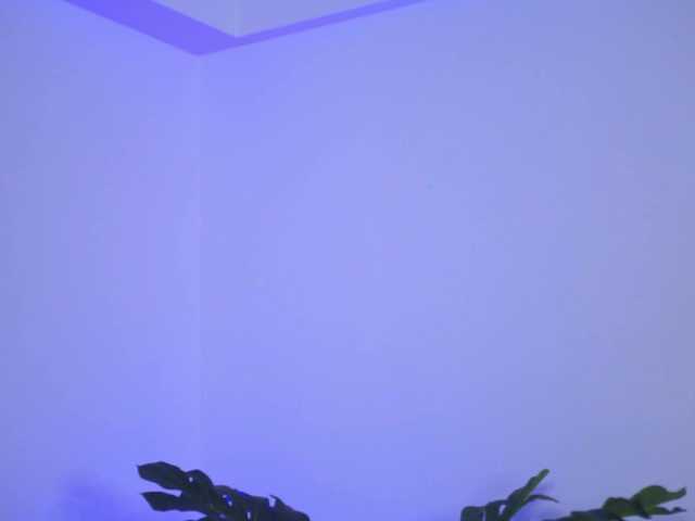 NinnaVoss's BongaCams show and profile