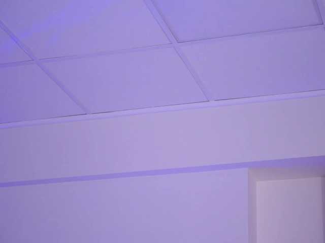 NinnaVoss's BongaCams show and profile