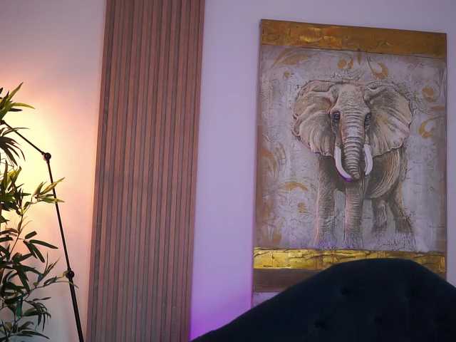 Preview of ninnavoss