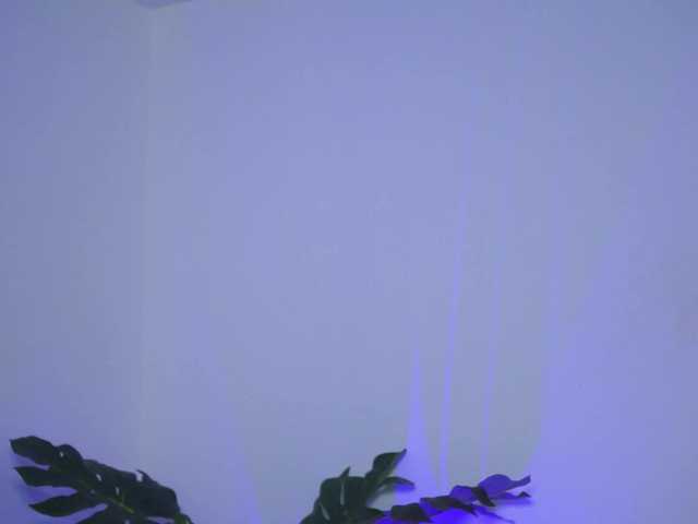 NinnaVoss's BongaCams show and profile