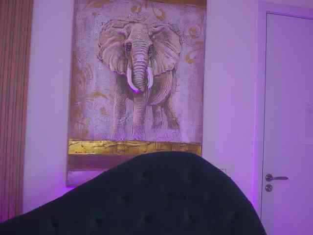 NinnaVoss webcam