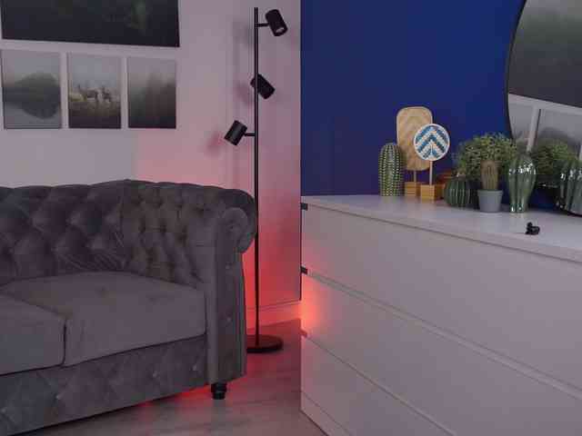 NinnaVoss webcam