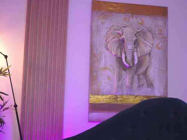 NinnaVoss webcam