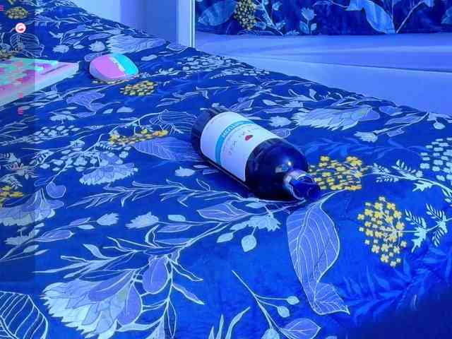 breedmedaddy Live Webcam on BongaCams