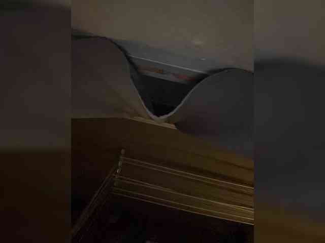 littlewetgirl webcam