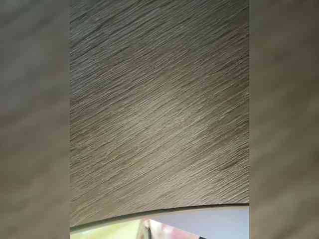 Gi-rl webcam