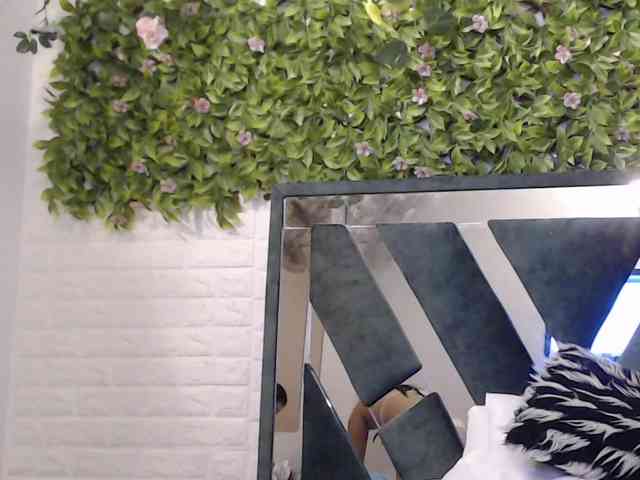 selenenn webcam