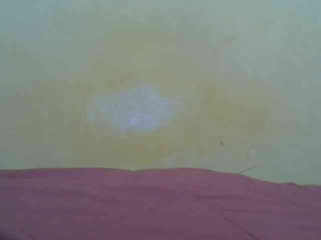 taliah254 webcam