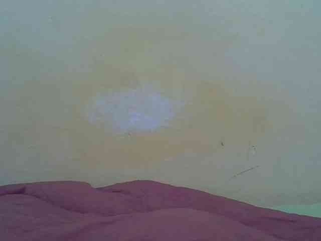 taliah254 webcam