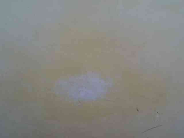 taliah254 webcam