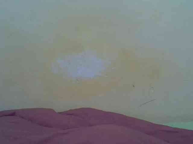 taliah254 webcam