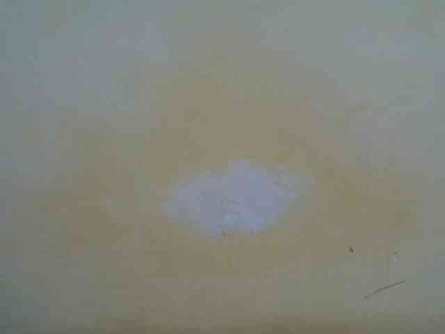taliah254 webcam