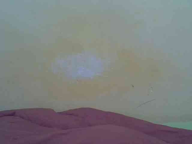 taliah254 webcam