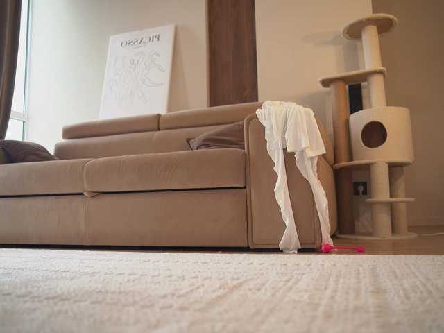 TokyoN's BongaCams profile