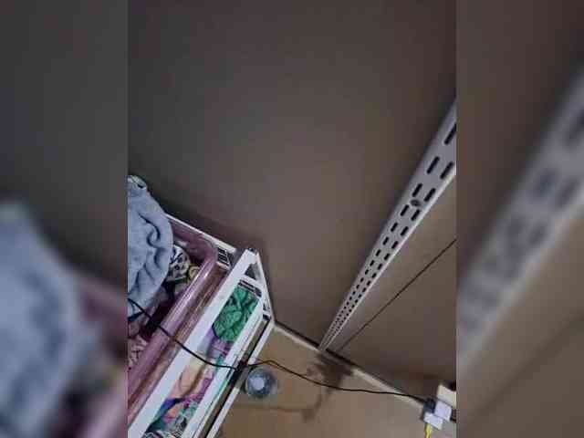 Dasy05 webcam