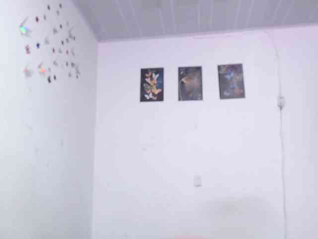 charly-x-emily webcam